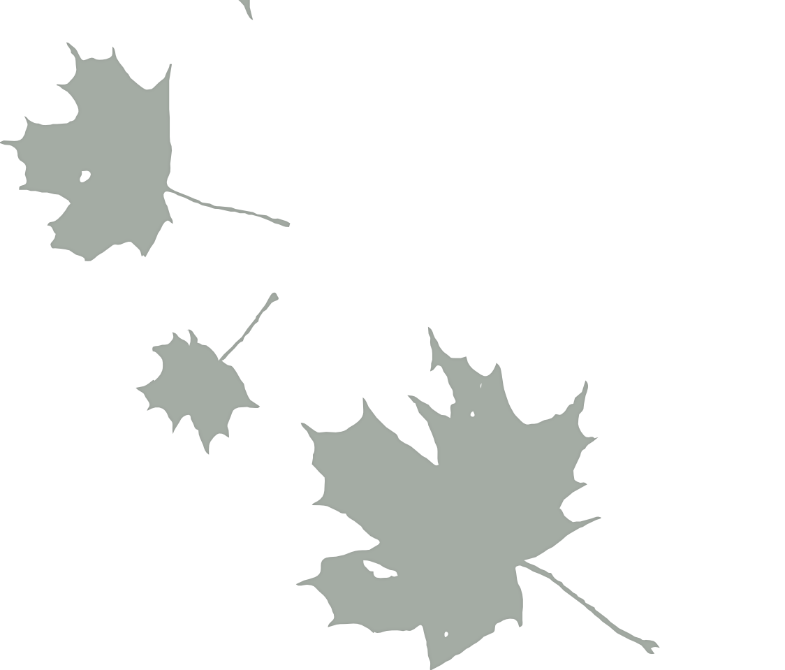 Autumn leaves Background